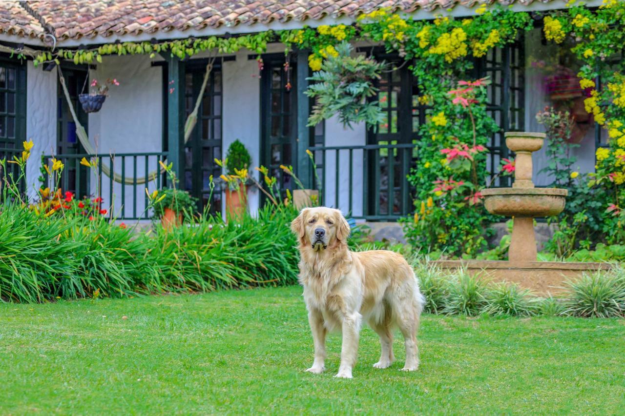 Casa San Nicolas Villa de Leyva Bagian luar foto